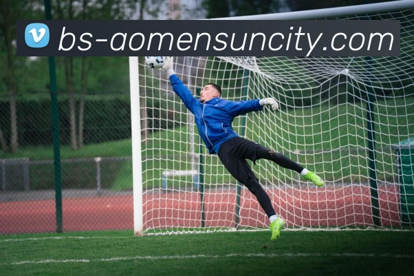 太阳城平台服务体系